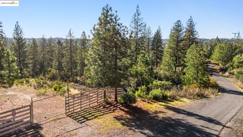 Photo of 11210 Forest Park Rd, Columbia, CA 95310 (MLS # 41118916)