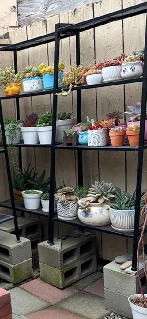 A home in San Jose