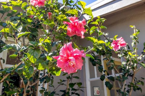 A home in Berkeley