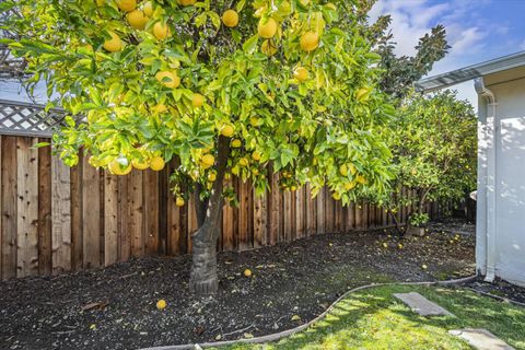 A home in Milpitas