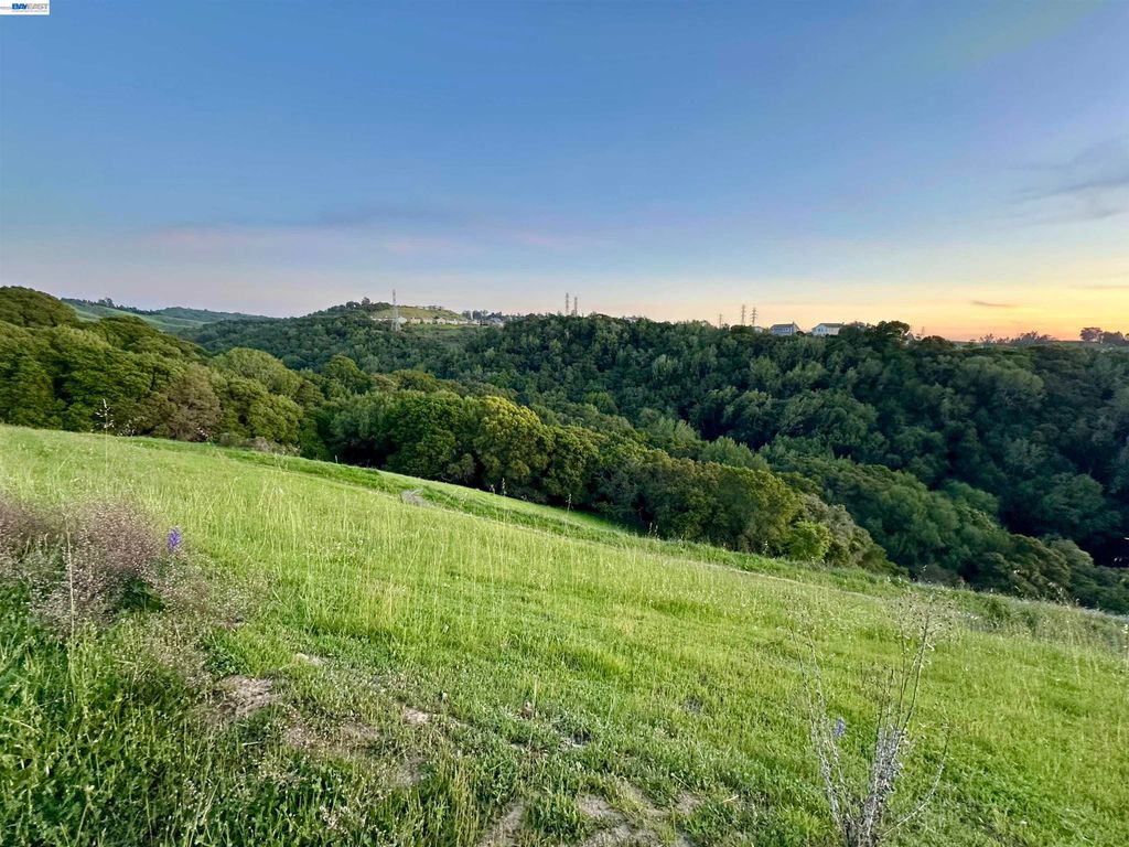 Photo of 25318 Buckeye Dr, Castro Valley, CA 94552 (MLS # 41127018)