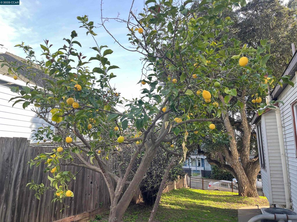 listing image 55