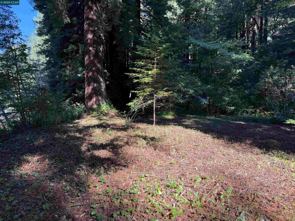 Photo of 1445 Austin Creek Rd, Cazadero, CA 95421 (MLS # 41116267)
