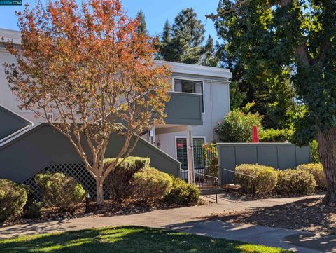 A home in Walnut Creek