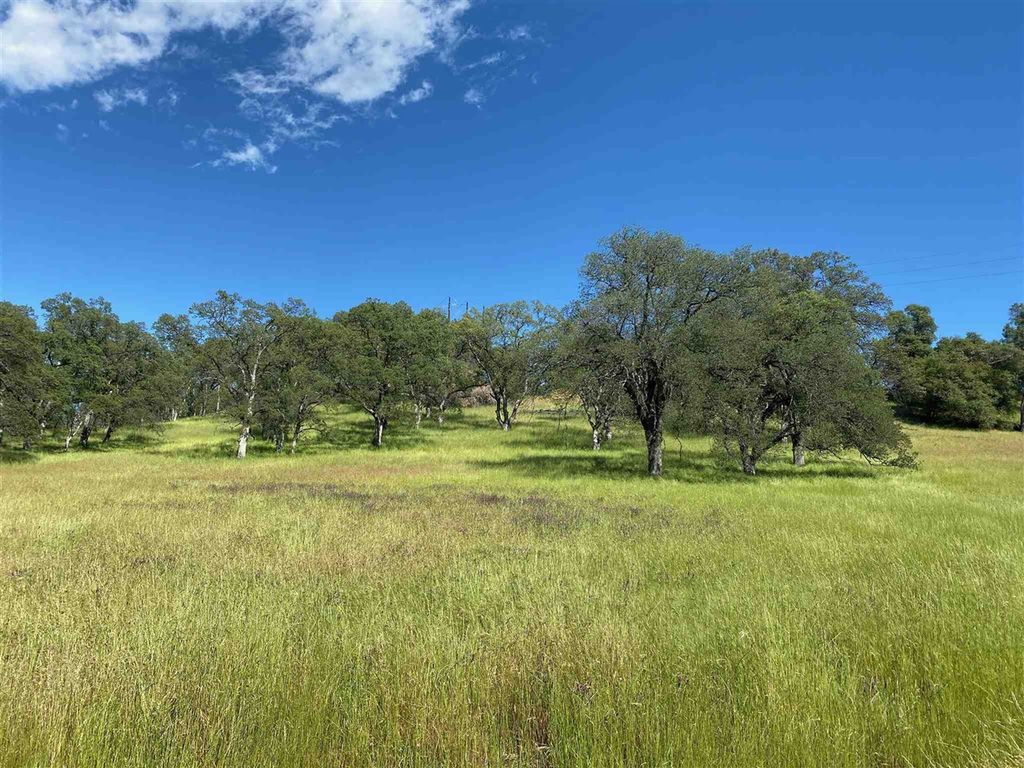 Photo of 15653 Hwy 108, Jamestown, CA 95327 (MLS # 41120037)