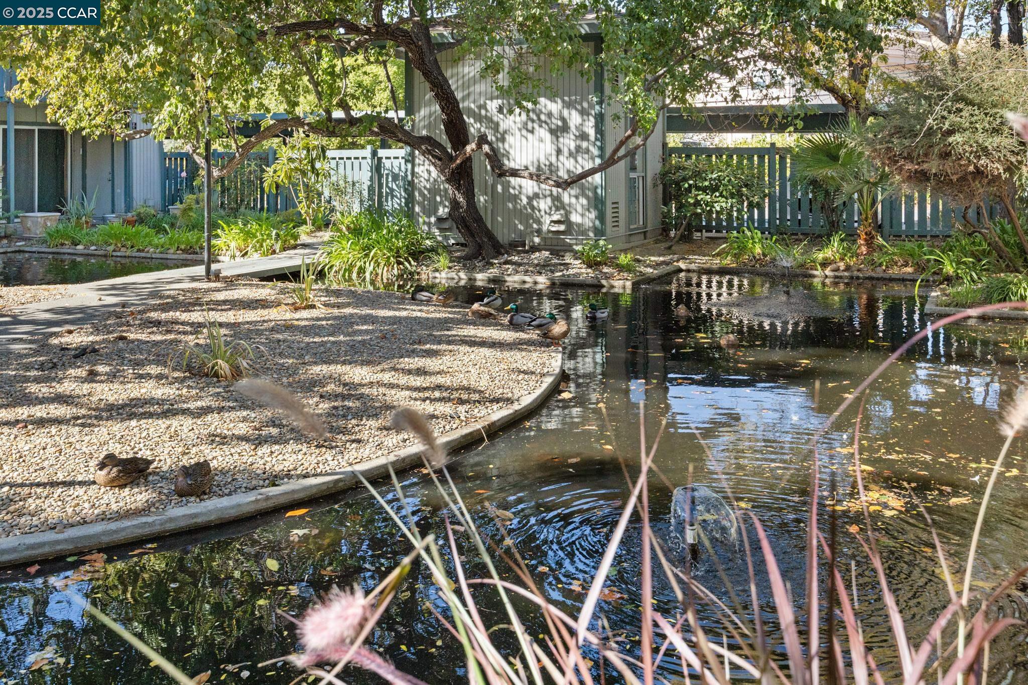 Concord, California 94518, United States, 1 Bedroom Bedrooms, ,1 BathroomBathrooms,Residential,Active,105781