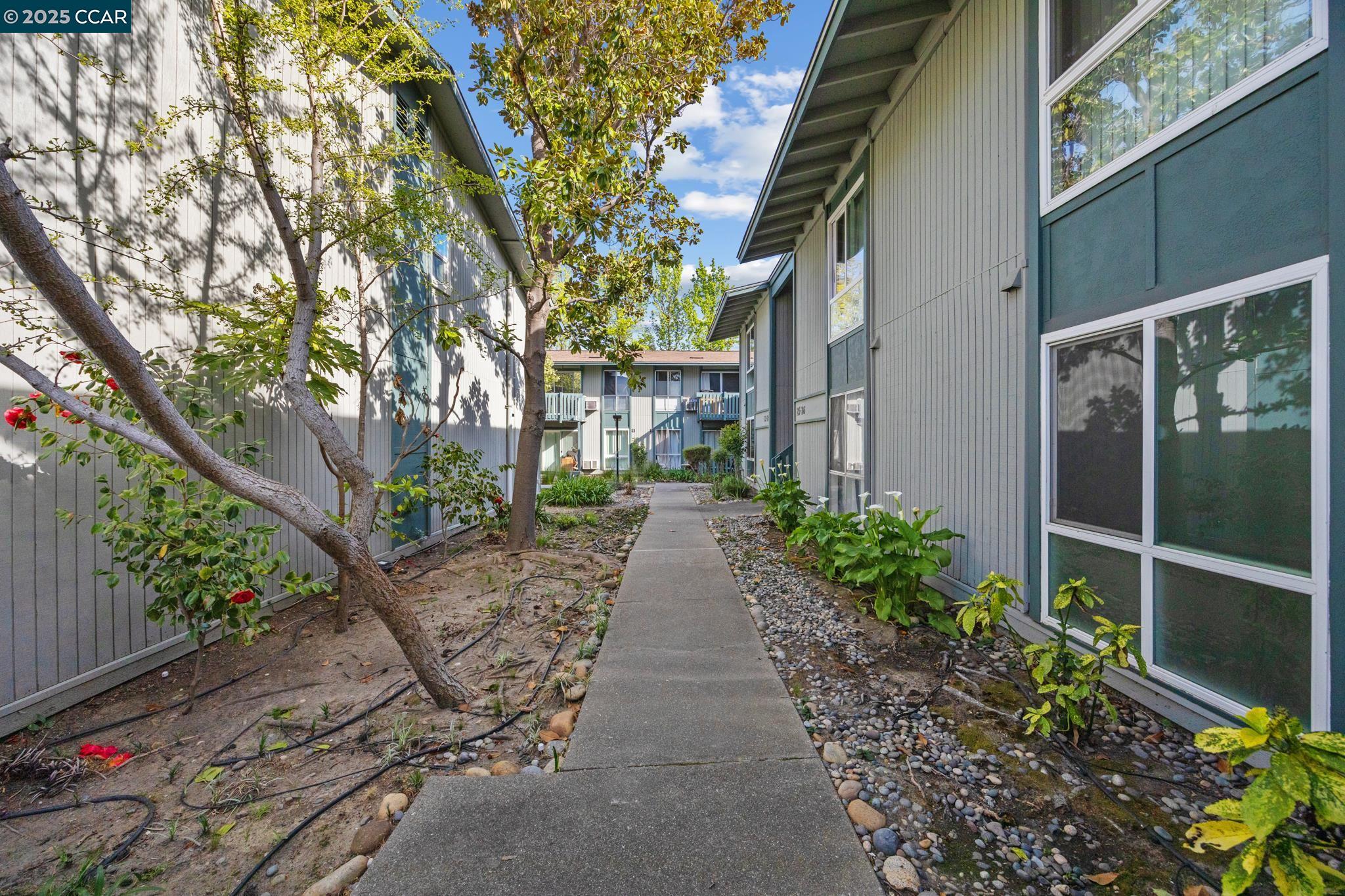 Concord, California 94518, United States, 1 Bedroom Bedrooms, ,1 BathroomBathrooms,Residential,Active,105781