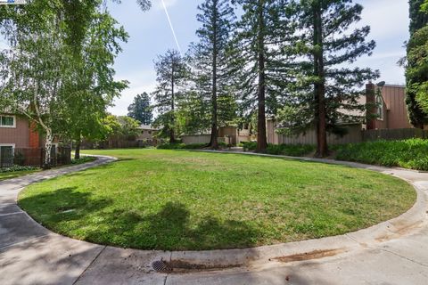 A home in Cupertino