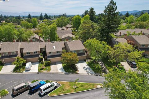 A home in Cupertino