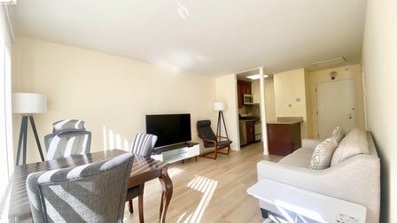 Open-concept living area featuring light wood-finish flooring
