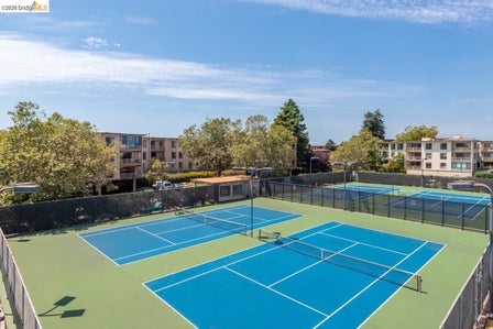 Multiple tennis courts featuring blue playing surfaces and green surrounds