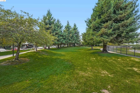Expansive green space featuring a lush lawn, mature trees, and a black wrought iron fence