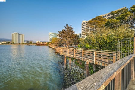 Waterfront property with a timber walkway and established trees
