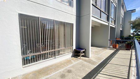 Exterior patio with concrete surface, featuring a multi-pane window with security bars