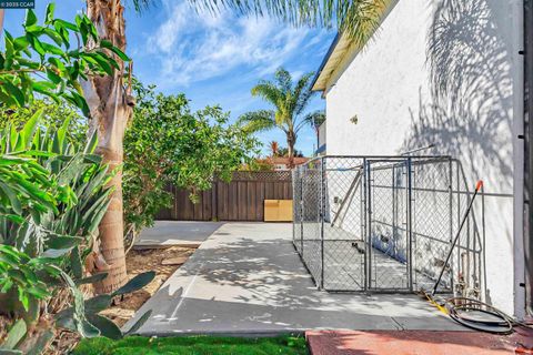 A home in Milpitas