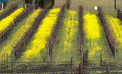 A home in Napa