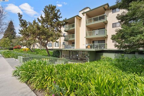 38780 Tyson Ln Unit 206C, Fremont, CA 94536 - MLS#: 41092699