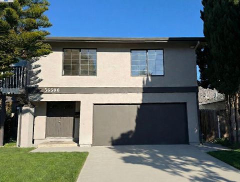 Photo of 36500 Alder Ct, Fremont, CA 94536 (MLS # 41119113)
