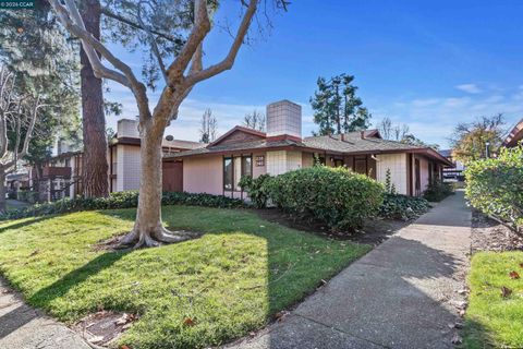 Photo of 238-240 Camelback Rd, Pleasant Hill, CA 94523 (MLS # 41121924)