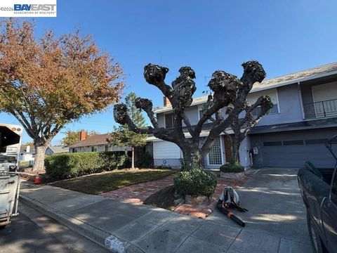 Photo of 849 Dakota Ct, Livermore, CA 94551 (MLS # 41126338)