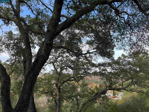 Photo of 3120 Ptarmigan Dr. #3, Walnut Creek, CA 94595 (MLS # 41118910)