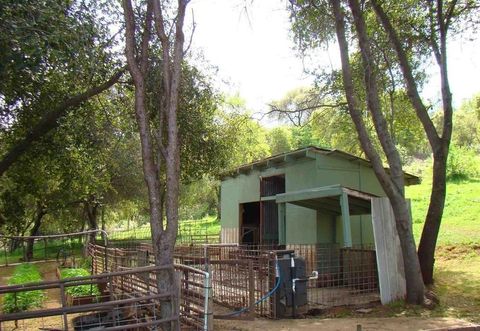 A home in Coulterville