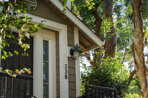 Photo of 236 Birch Creek Ter, Pleasanton, CA 94566 (MLS # 41108811)