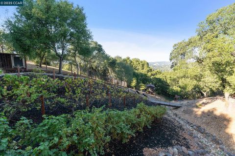 A home in Orinda