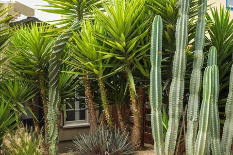 A home in Berkeley