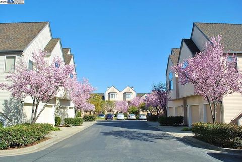 A home in Alameda