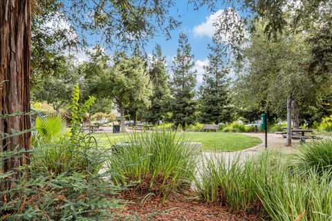 A home in Cupertino