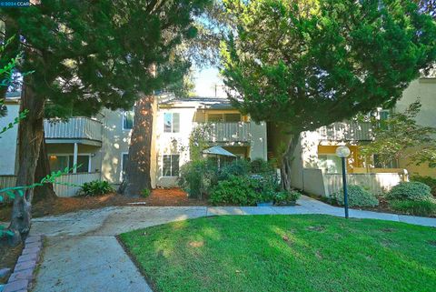 A home in Walnut Creek