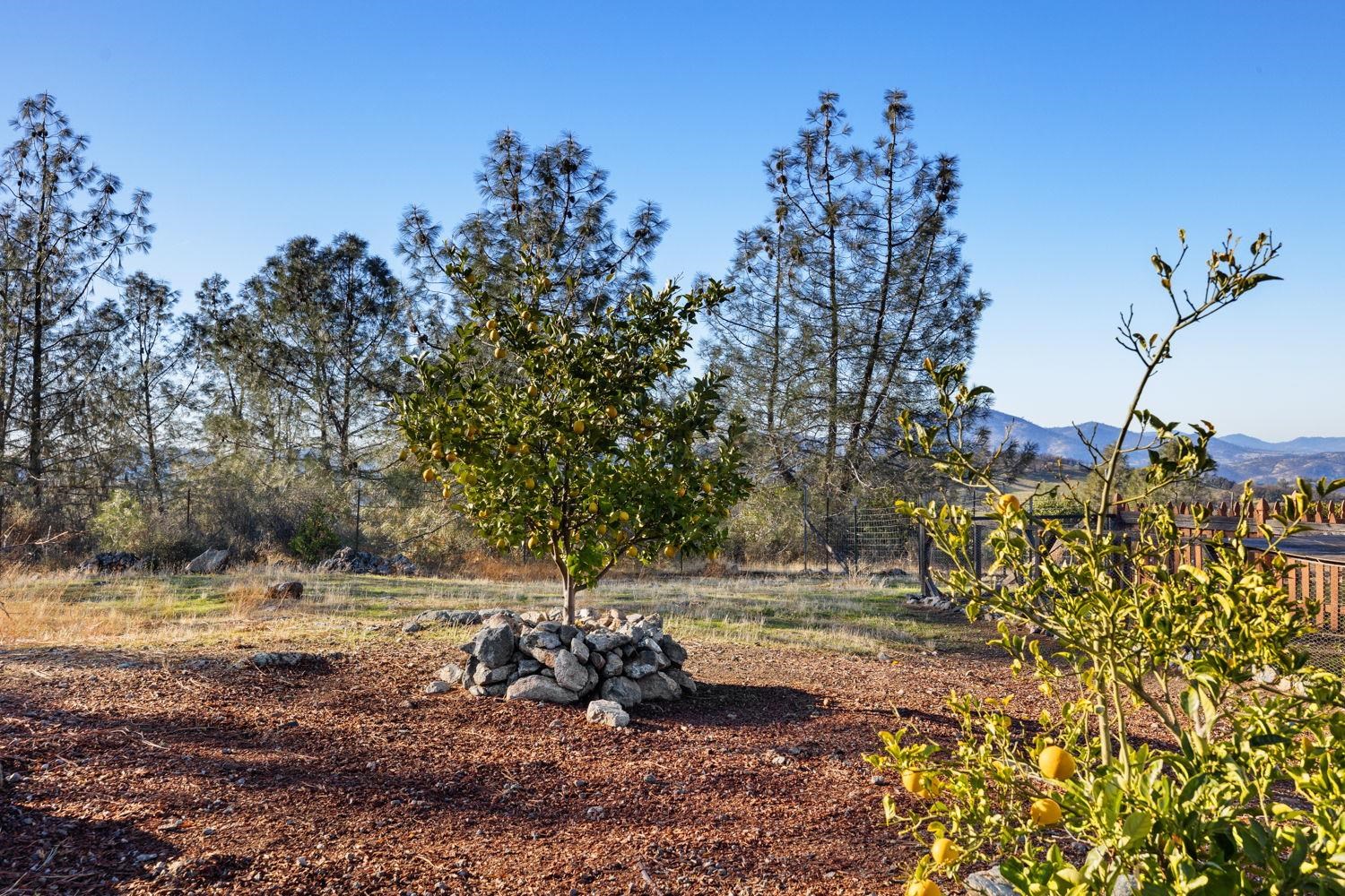 Jamestown, California 95327, United States, 2 Bedrooms Bedrooms, ,2 BathroomsBathrooms,Residential,Pending,22037