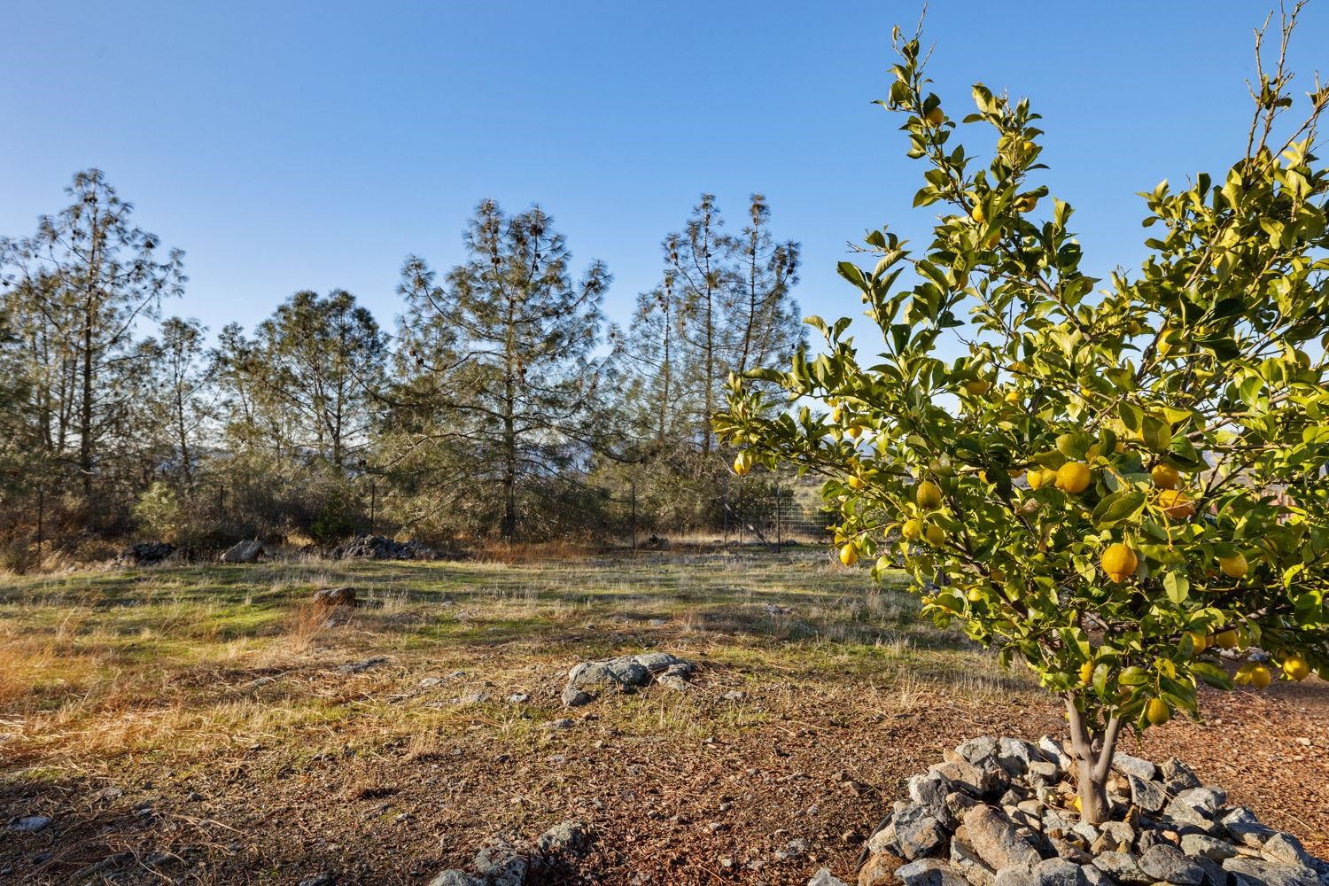 Jamestown, California 95327, United States, 2 Bedrooms Bedrooms, ,2 BathroomsBathrooms,Residential,Pending,22037