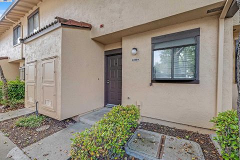 6395 Joaquin Murieta Ave Newark CA 94560