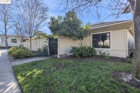 A home in Walnut Creek