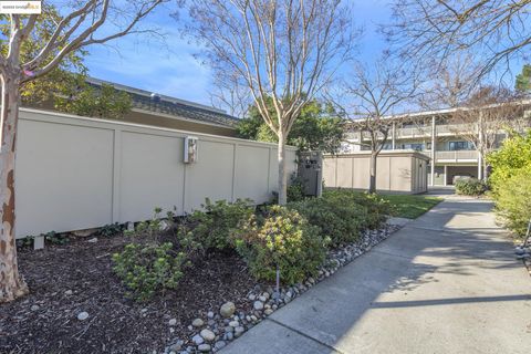 A home in Walnut Creek