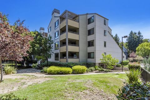 A home in Sunnyvale