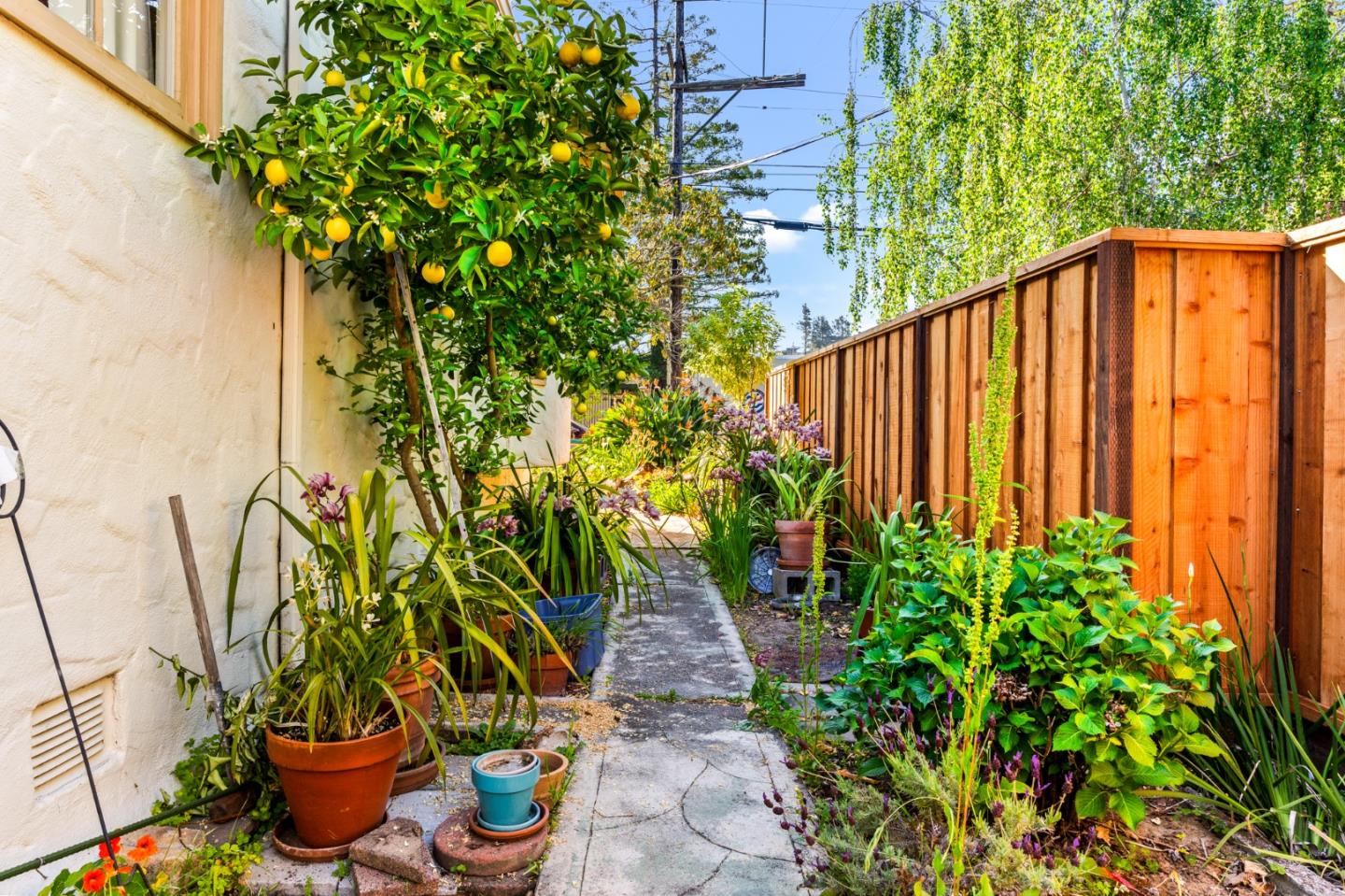 San Mateo, California 94402, United States, 4 Bedrooms Bedrooms, ,2 BathroomsBathrooms,Residential,Active,132845