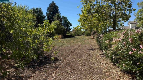 1819 AYERS RD, CONCORD, CA 94521 - Image 5a70d85facff50fb1cc3c0fde57bcfdf/3221943743