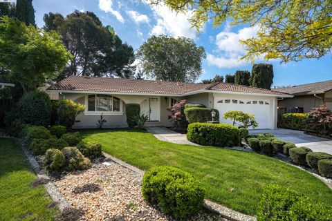 56 Cayuga Pl Fremont CA 94539
