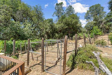 A home in Tuolumne