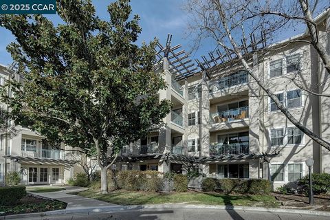 A home in Walnut Creek