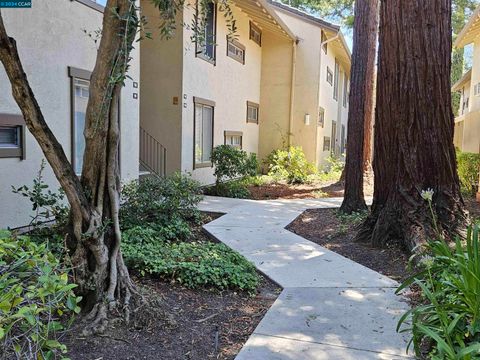 A home in Walnut Creek