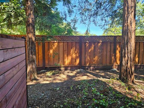 A home in Walnut Creek