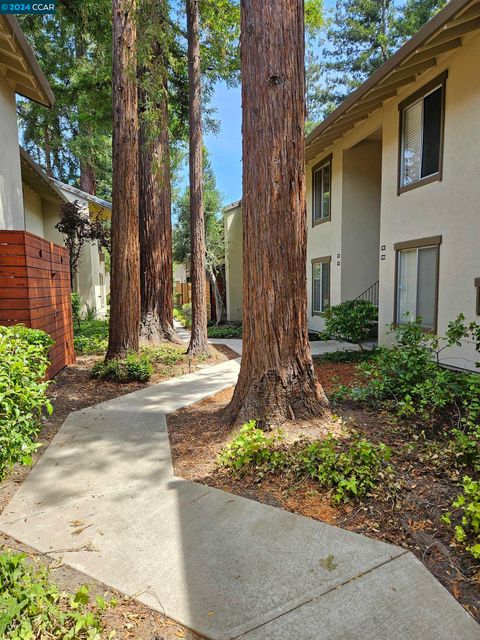 A home in Walnut Creek