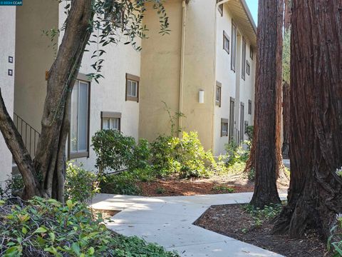 A home in Walnut Creek