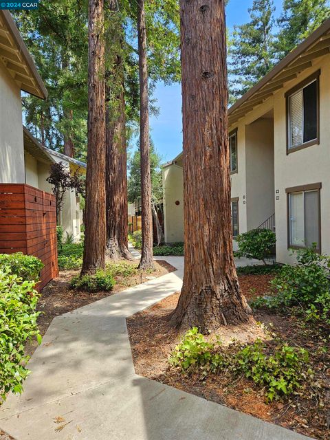 A home in Walnut Creek