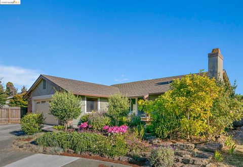 A home in El Cerrito