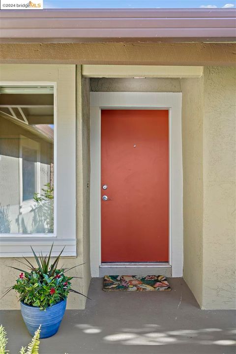 A home in El Cerrito